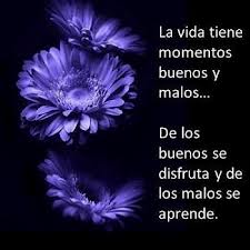 descarga